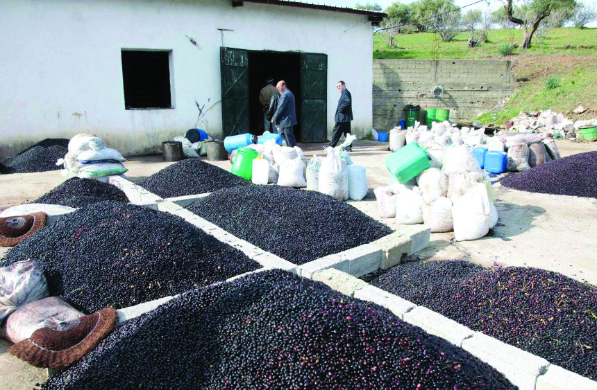 Kabylie Artisan Experience - Image 3