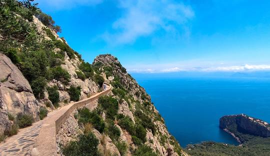 Béjaïa's Barbary Macaques: A Natural Encounter