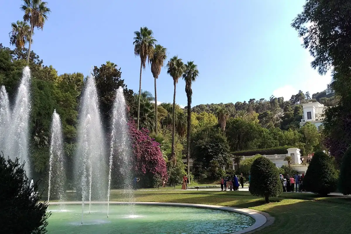 Casbah & Modern Algiers - Image 2