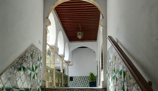 Casbah & Modern Algiers