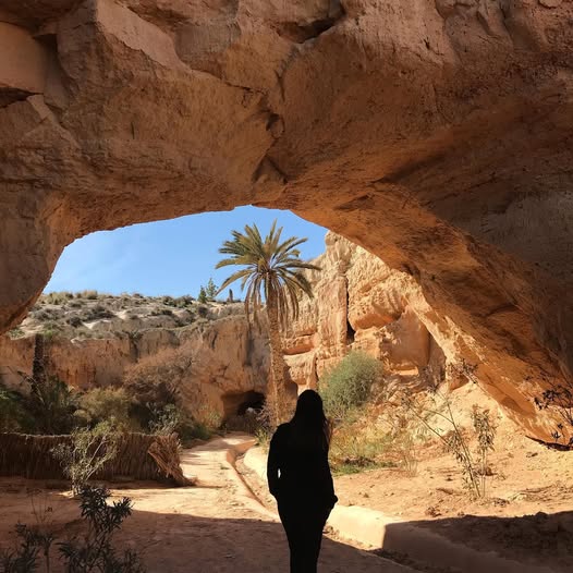 El Oued Oasis - Image 2