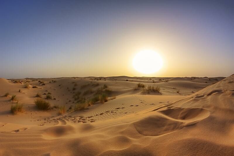 El Oued Oasis - Image 3
