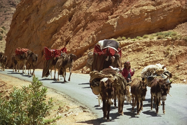 Atlas Mountains Trek - Image 2