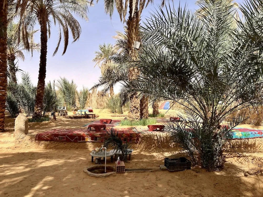 Sahara Desert Adventure - Image 3